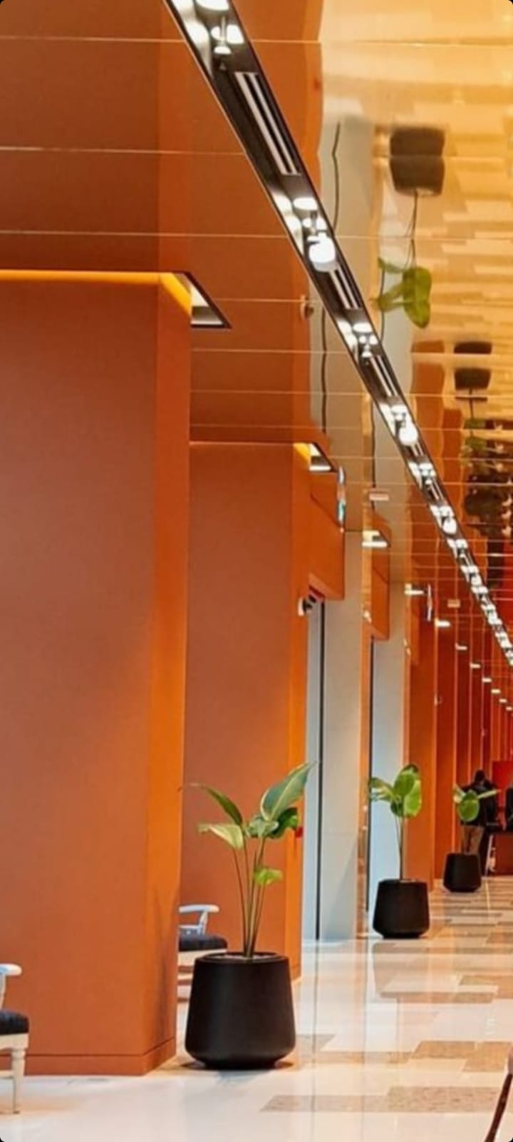 FIBERGLASS PLANTER MANUFACTURERS & WHOLESALER IN SRI LANKA